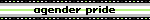 black, gray, white, green flag with the text 'agender pride'
